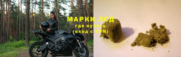 mix Инта