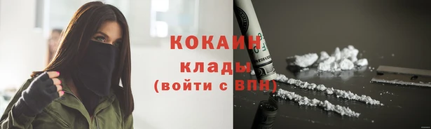 mix Инта