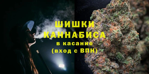 mix Инта