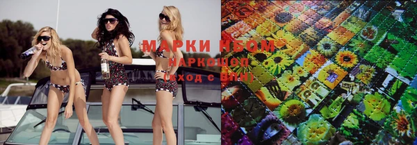 mix Инта
