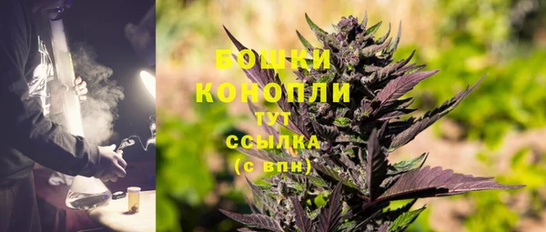 mix Инта
